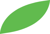 leaf graphic